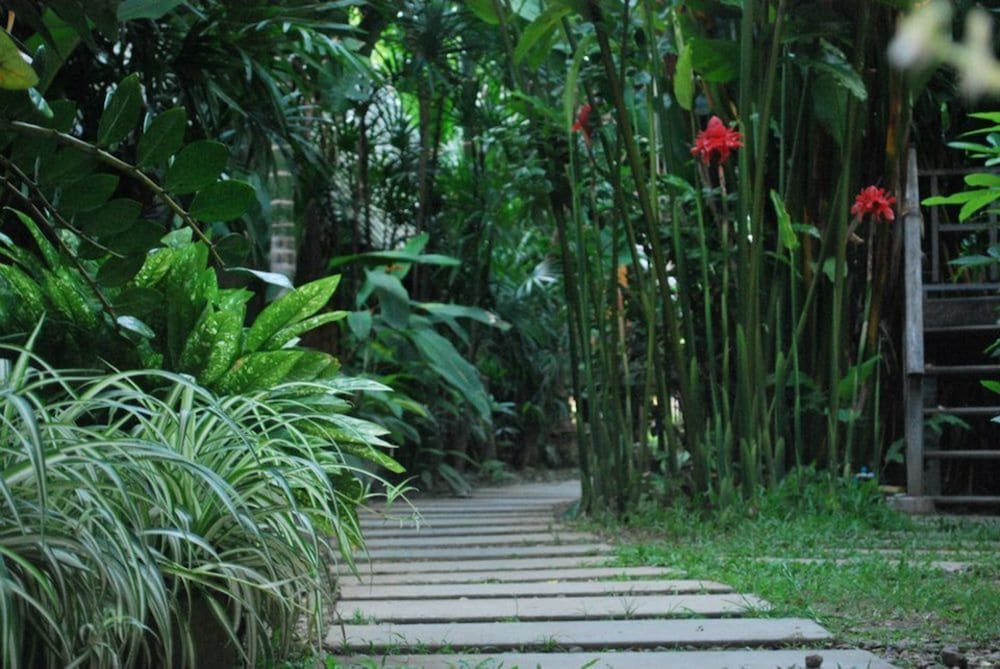 Breeze of Pai Guesthouse