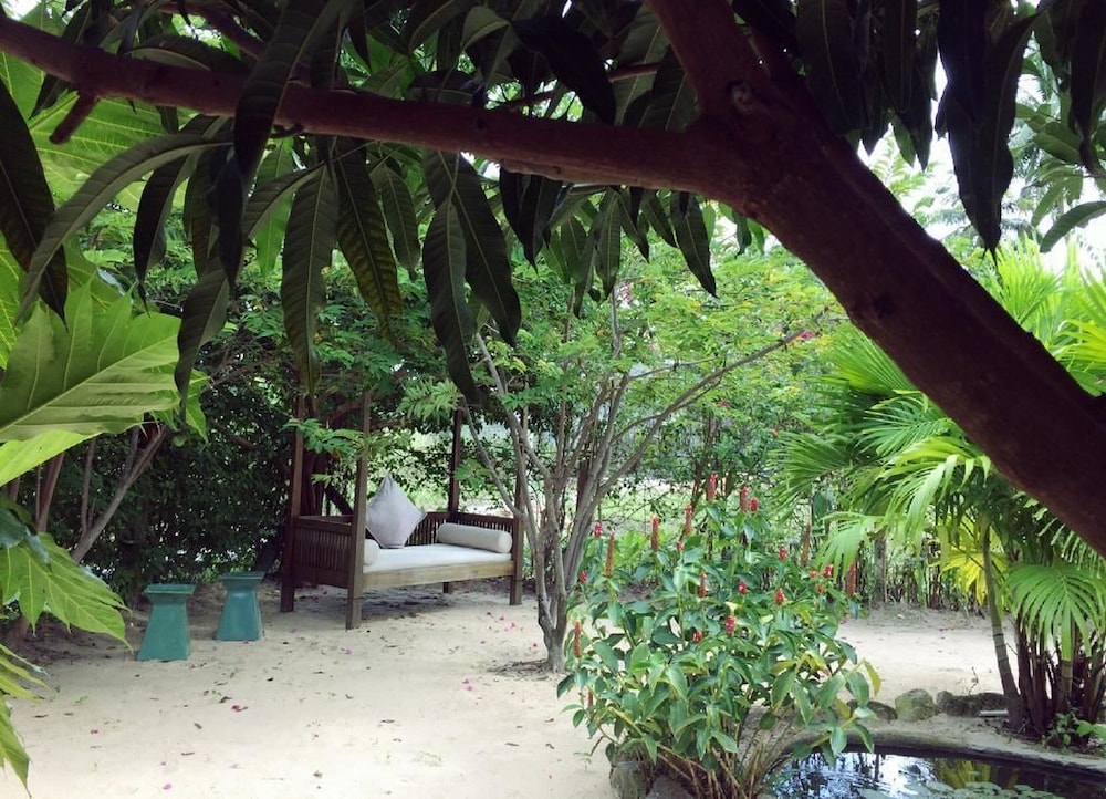 Alyssa's Garden Home