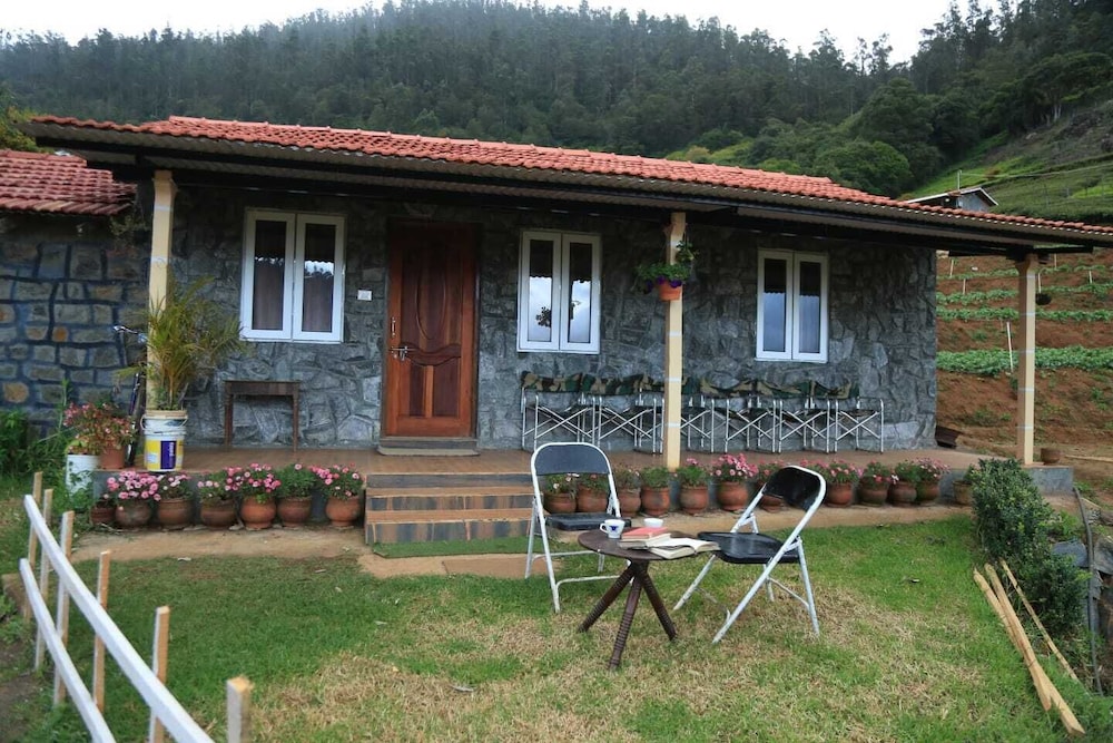 Wild and Free Farm Stay