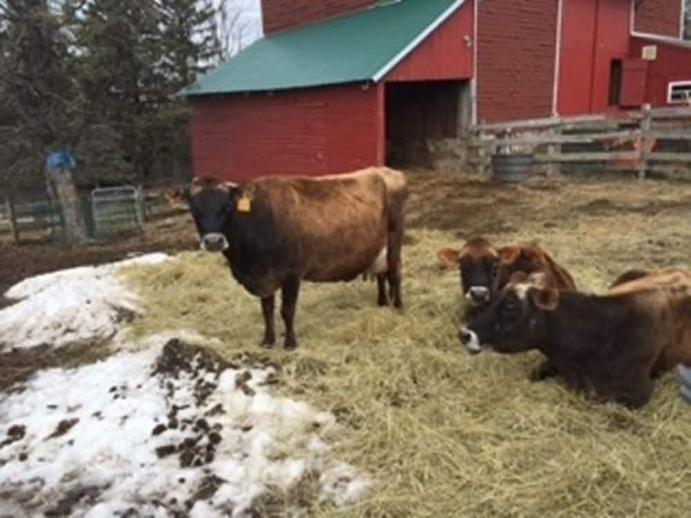 Flint Hill Farm AG
