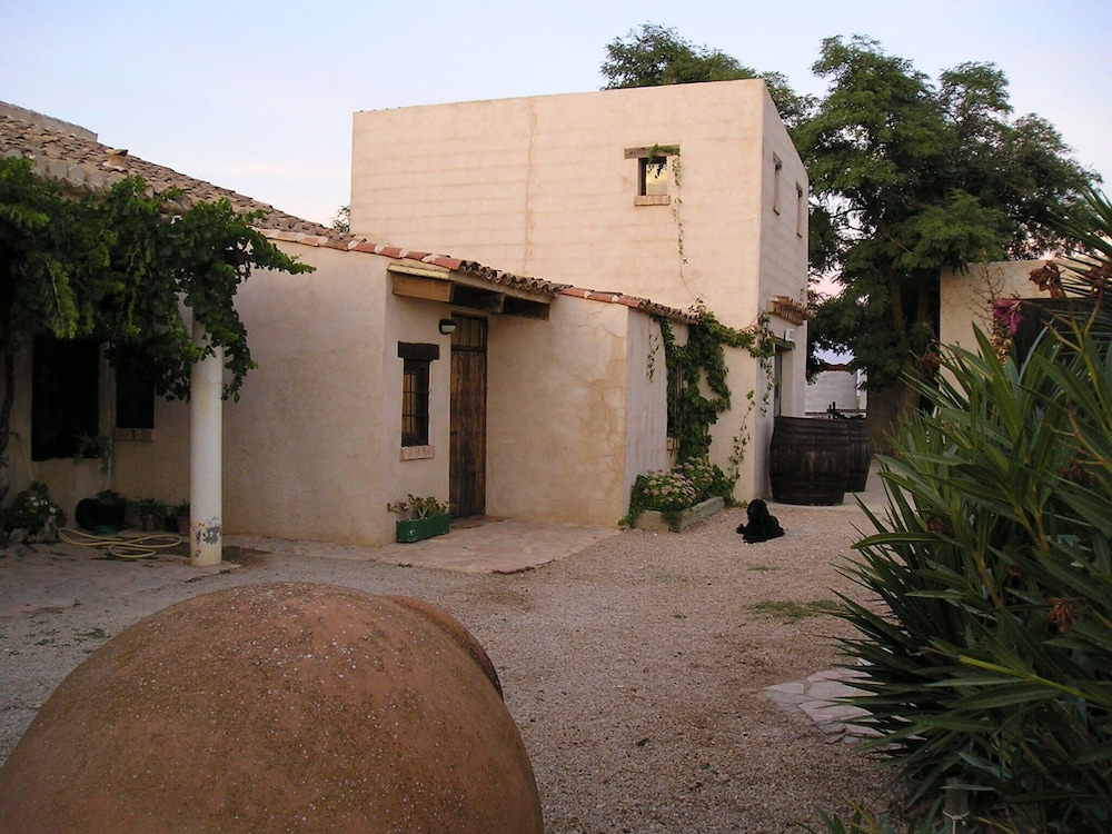 Photo 8