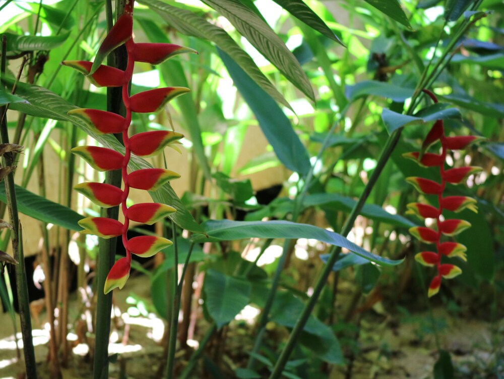 Palita Lodge