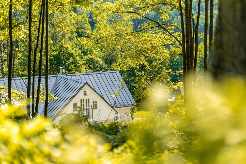 Villa in Bohemia With Sauna