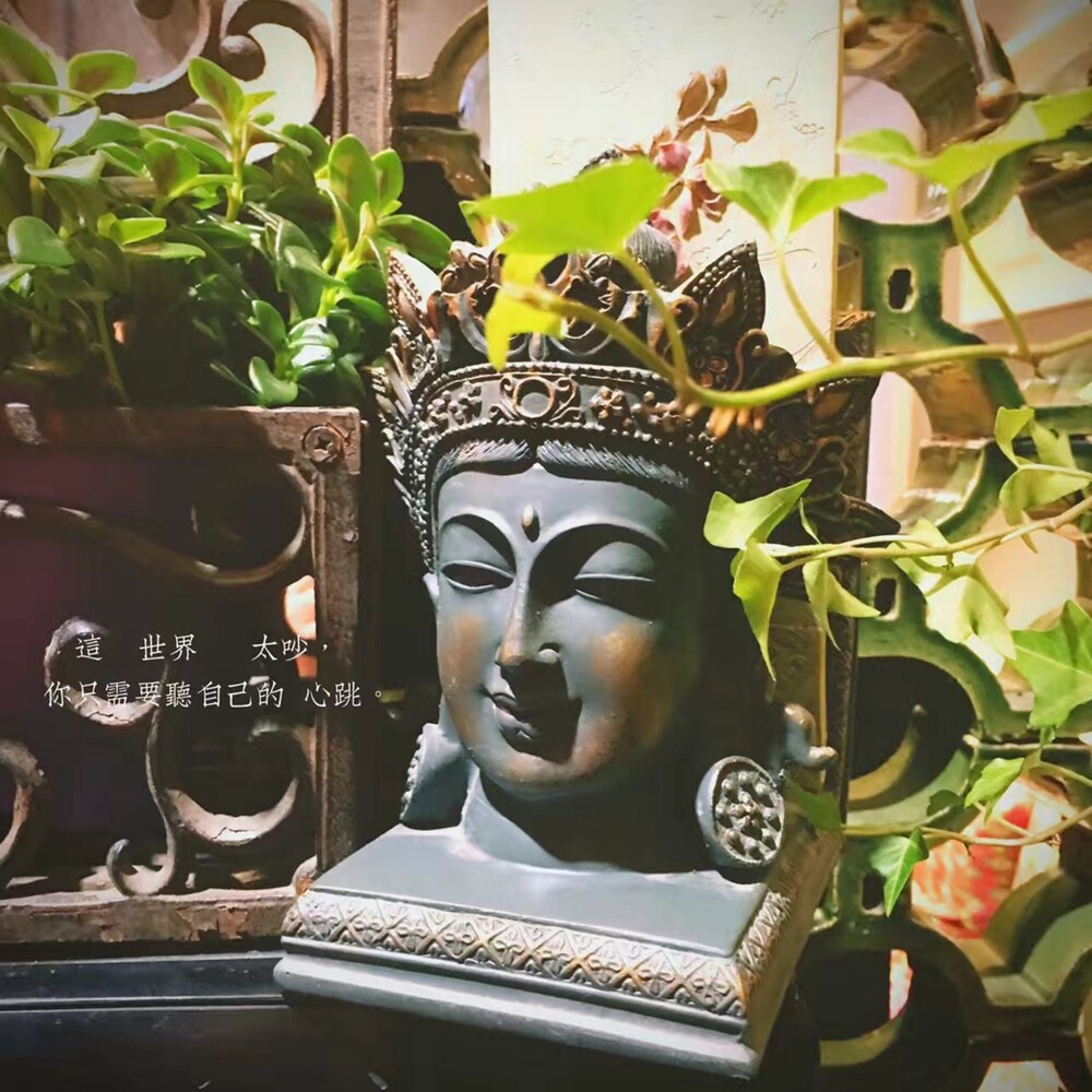 Sharemood Guest House