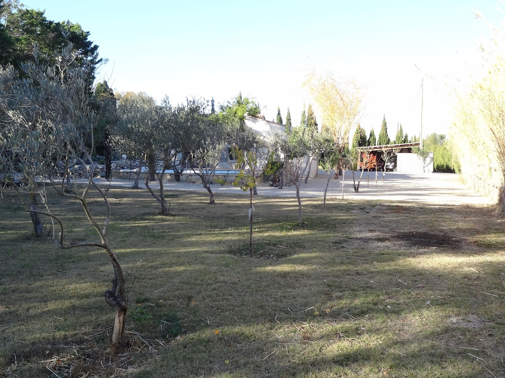 Locations des Alpilles