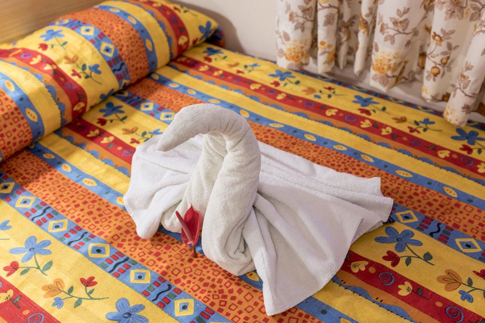 Hotel Arisa Oaxaca - Property Image 22