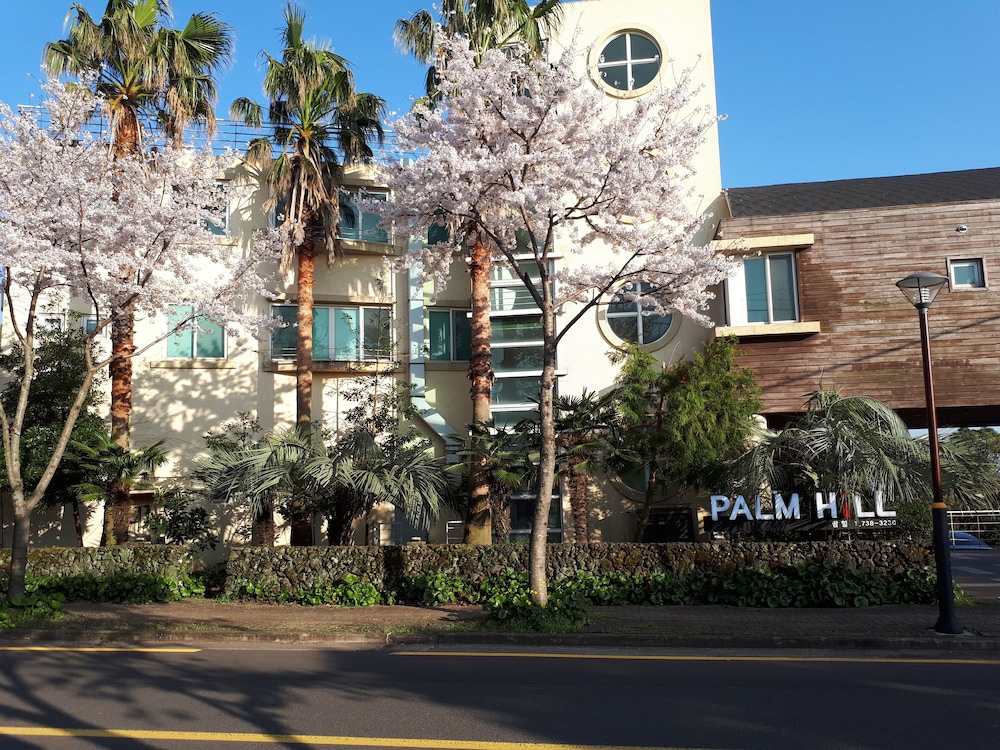 Palm Hill Pension