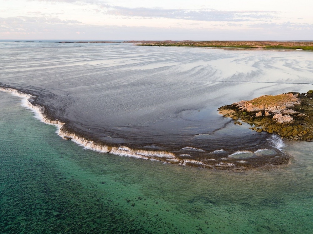 Cygnet Bay Pearls