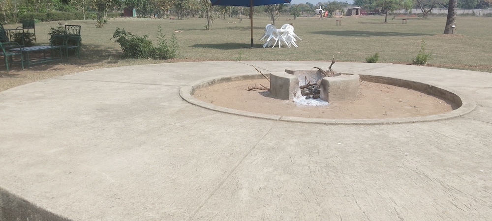 Photo 47