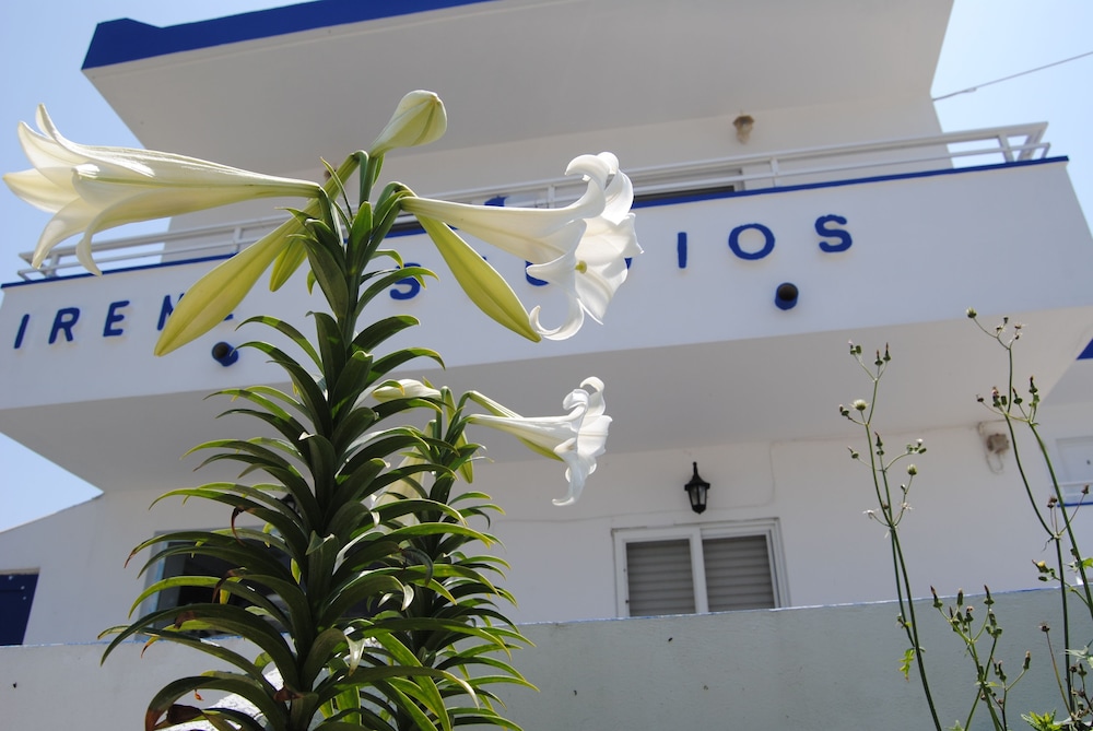 Irene Studios