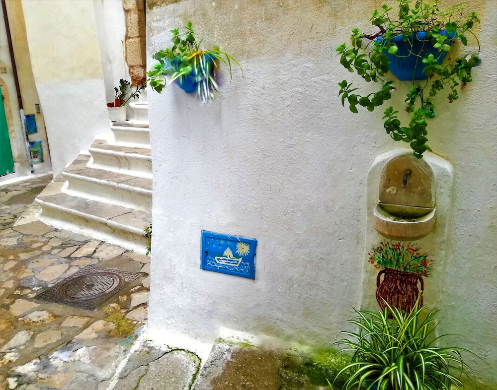 Photo 29