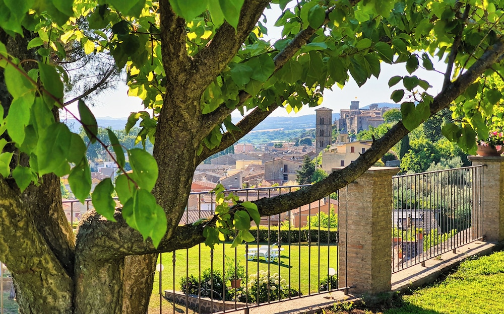 Le vigne