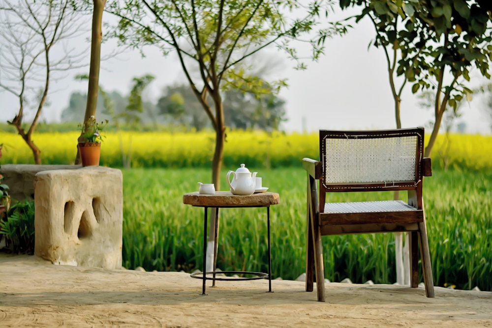 Punjab village farm near Amritsar