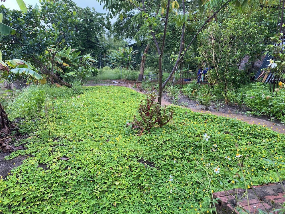 Mi House Nghia Lo Yen Bai