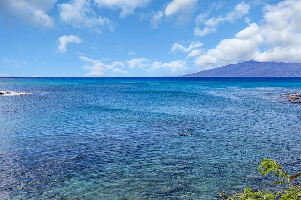 Napili Point B39 in Lahaina