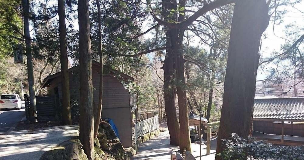 La Maison De David