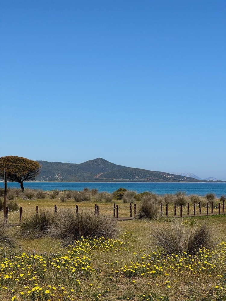 Affittacamere Belvedere - Posada