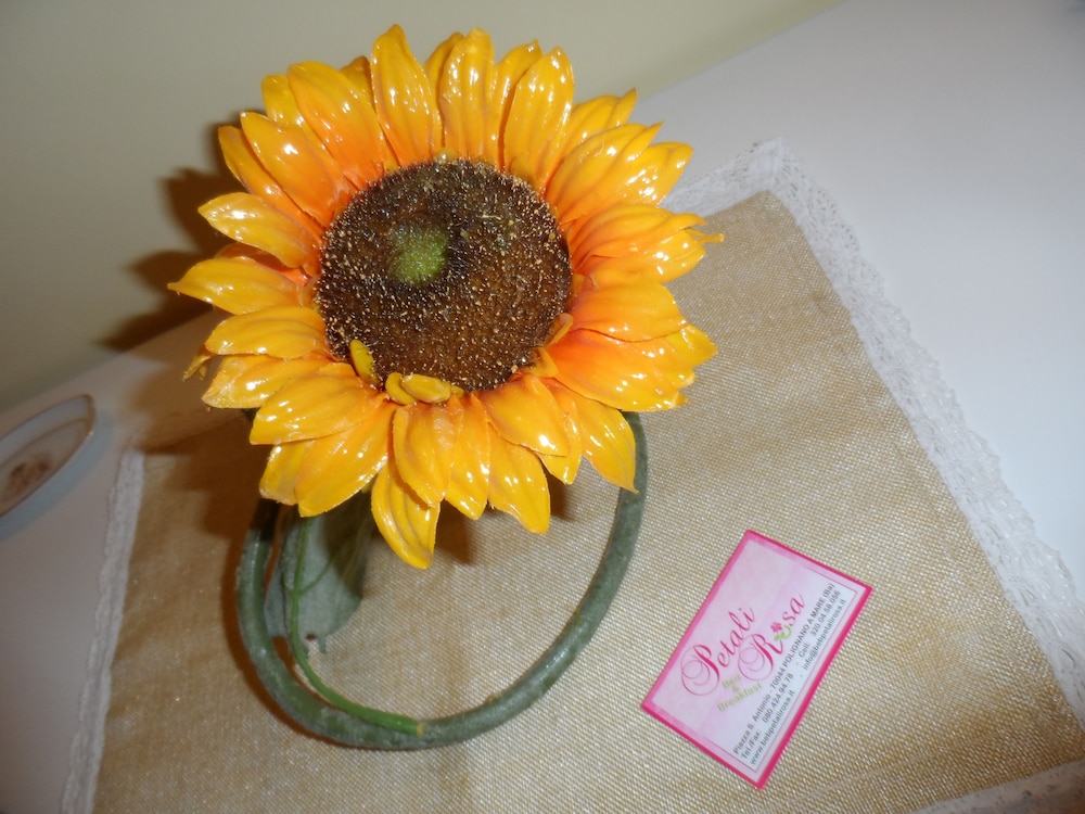 B&B Petali Rosa
