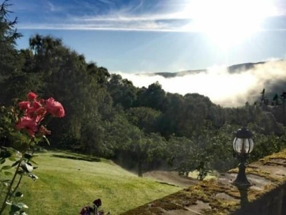 Highland Bear Lodge & Luxury Bear Huts