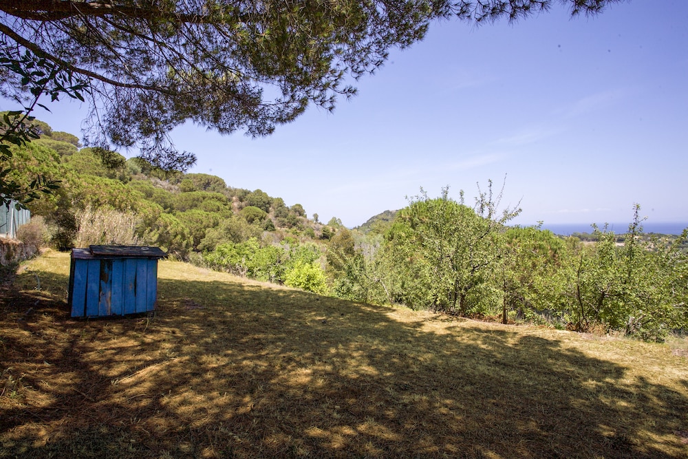 Villa Gloria photo 3