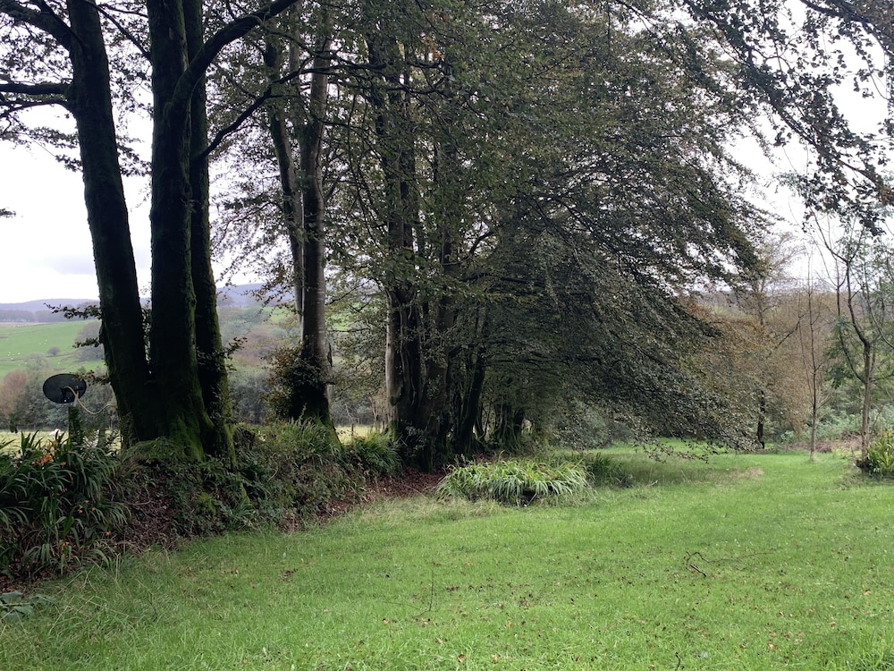 Ffos y Ffin - Ascension in the Fields