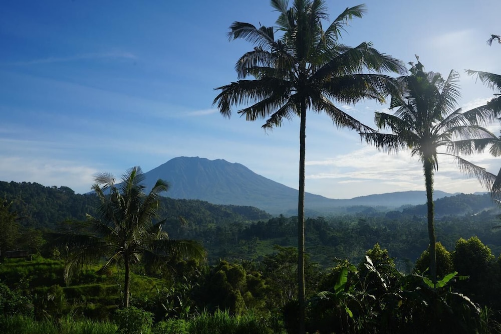 Gladak di uma bali