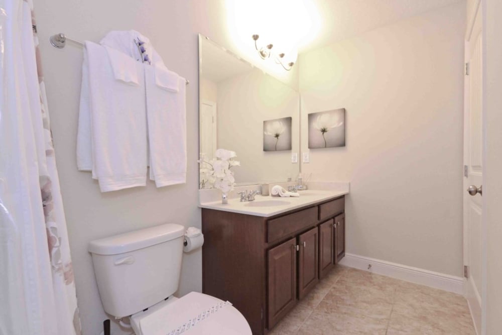 Solterra 5361 - Image 5