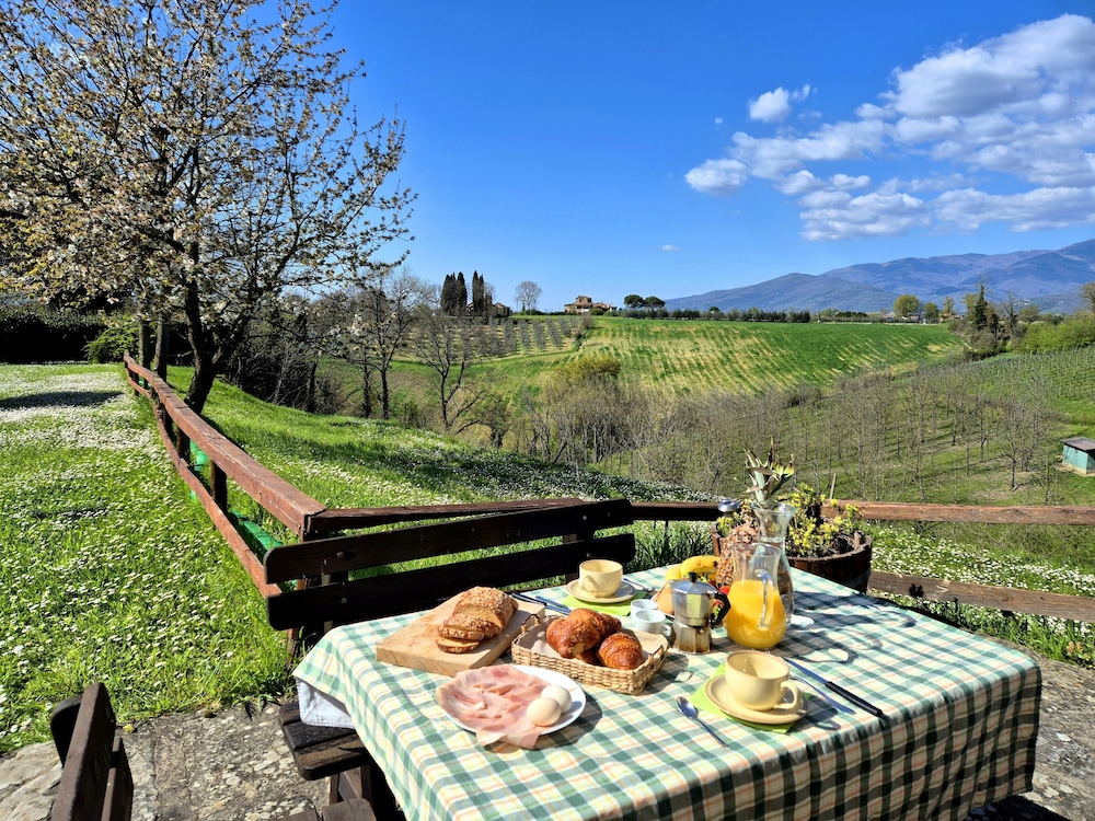 Il Pino Bioagricoltura