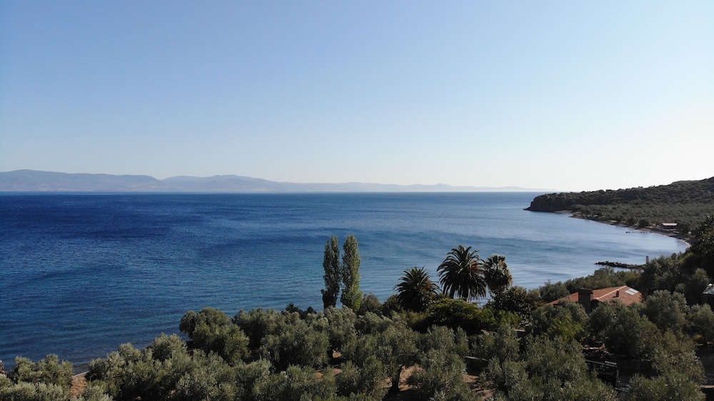 IDAOLEA.ASSOS