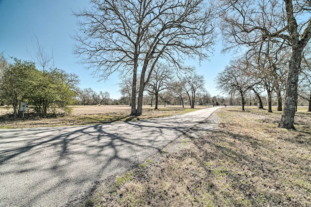 Luxurious Navasota Retreat - 14 Mi to A & M! view 5