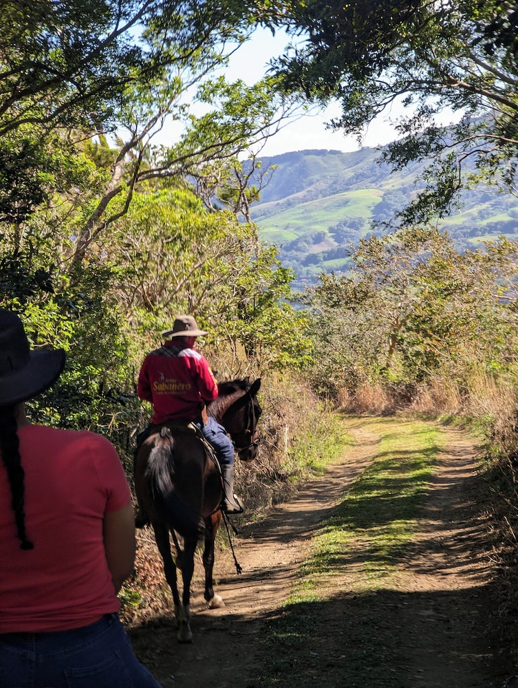 Campos de Oro Wilderness Lodge