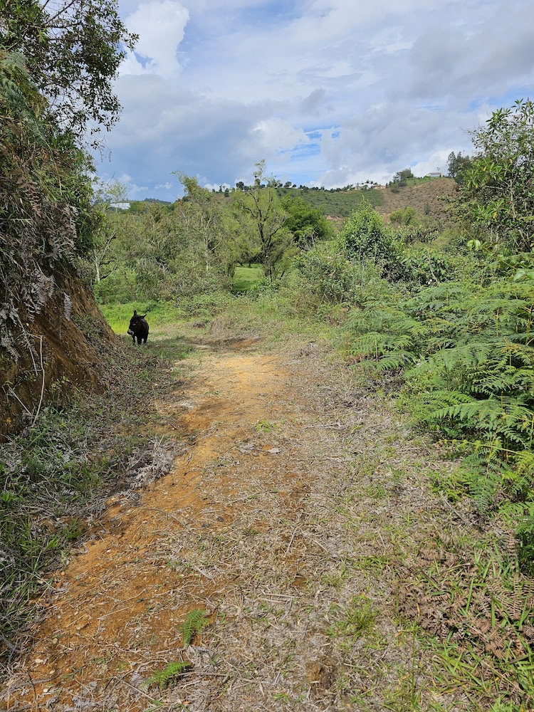 Photo 32