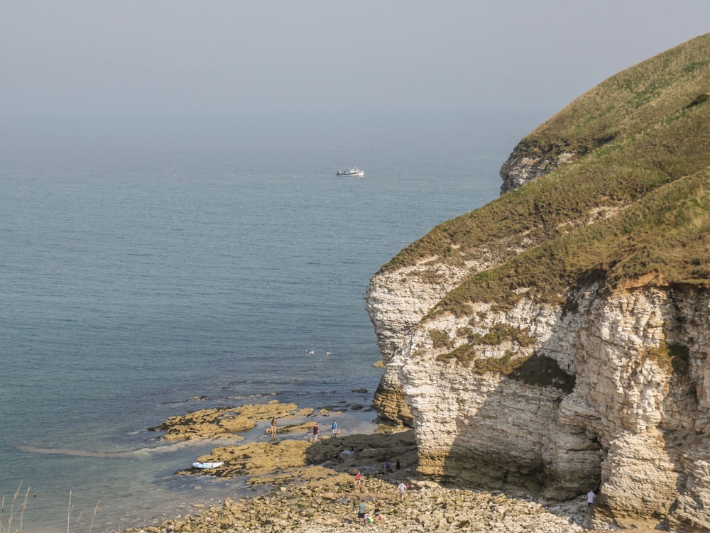 Gannet