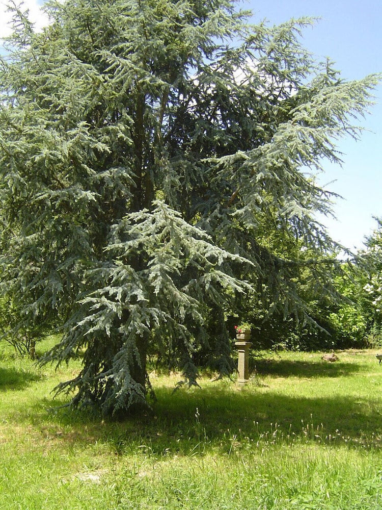 La Forge de la Coudraie