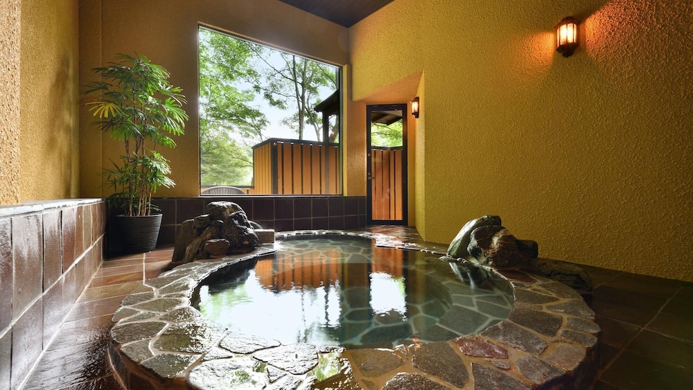 SHIMAONSEN TSURUYA, Nakanojo, Giappone - 17