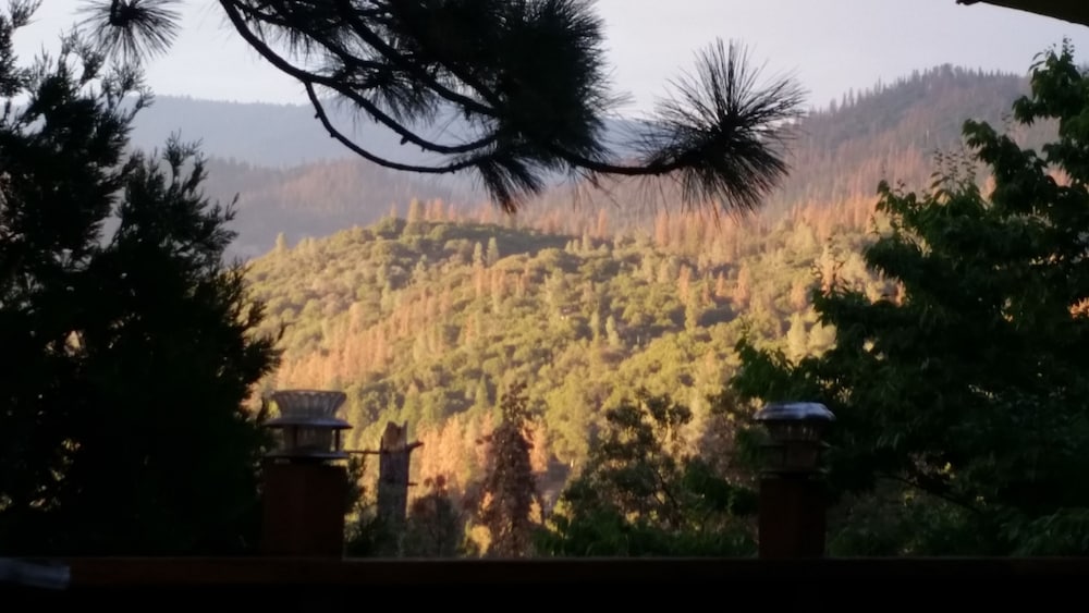 Pine Rose Inn