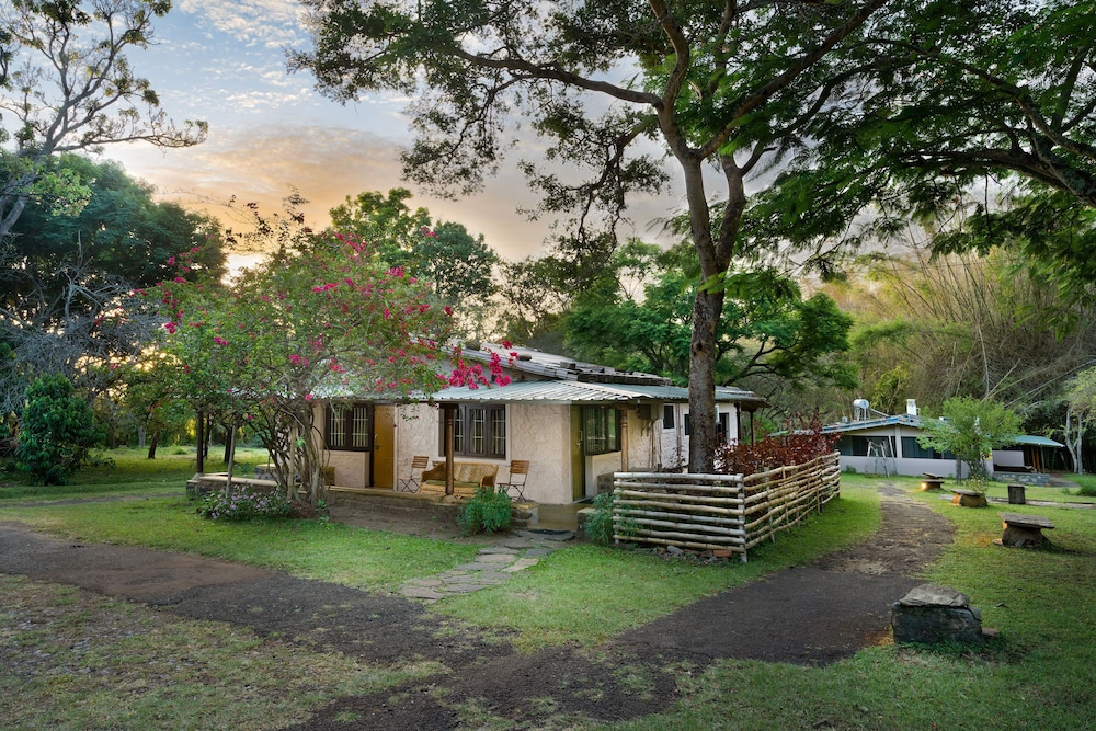 Jungle Hut Resorts