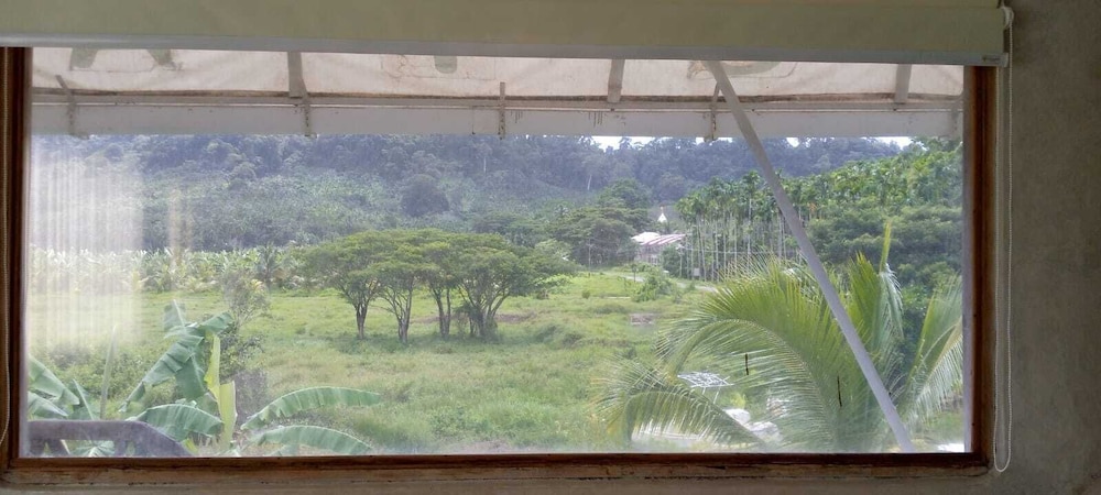 Matsya Island Retreat