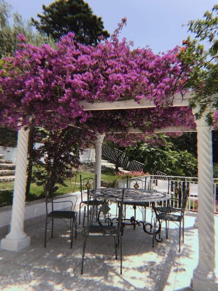 Il Paradiso di Hyele