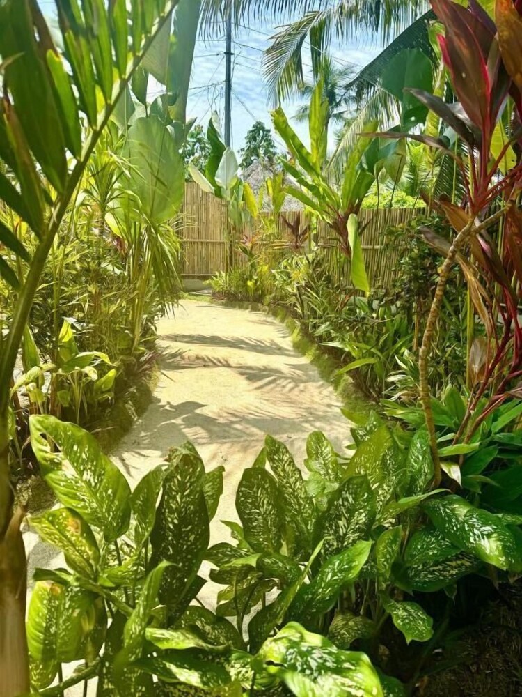 Villa Pura Vida Apartments Siargao