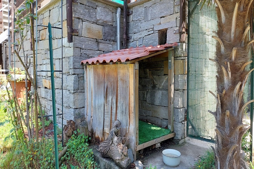Photo 35