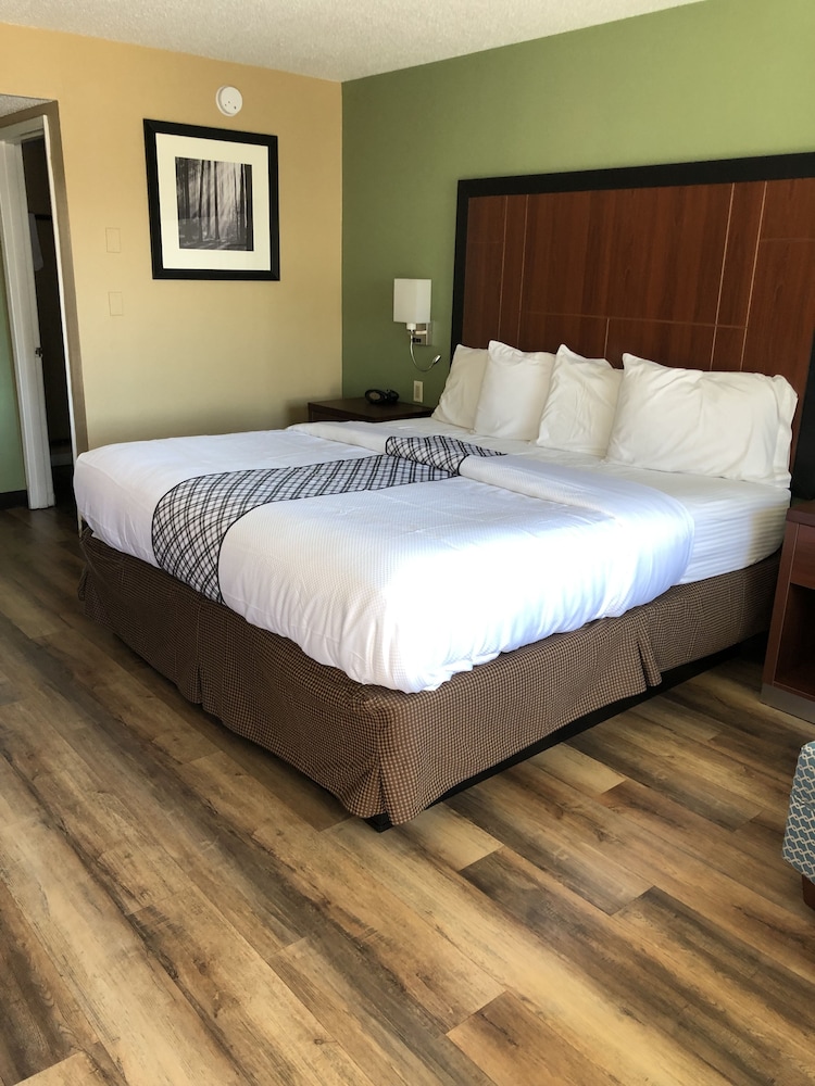 Knight's Inn Motel