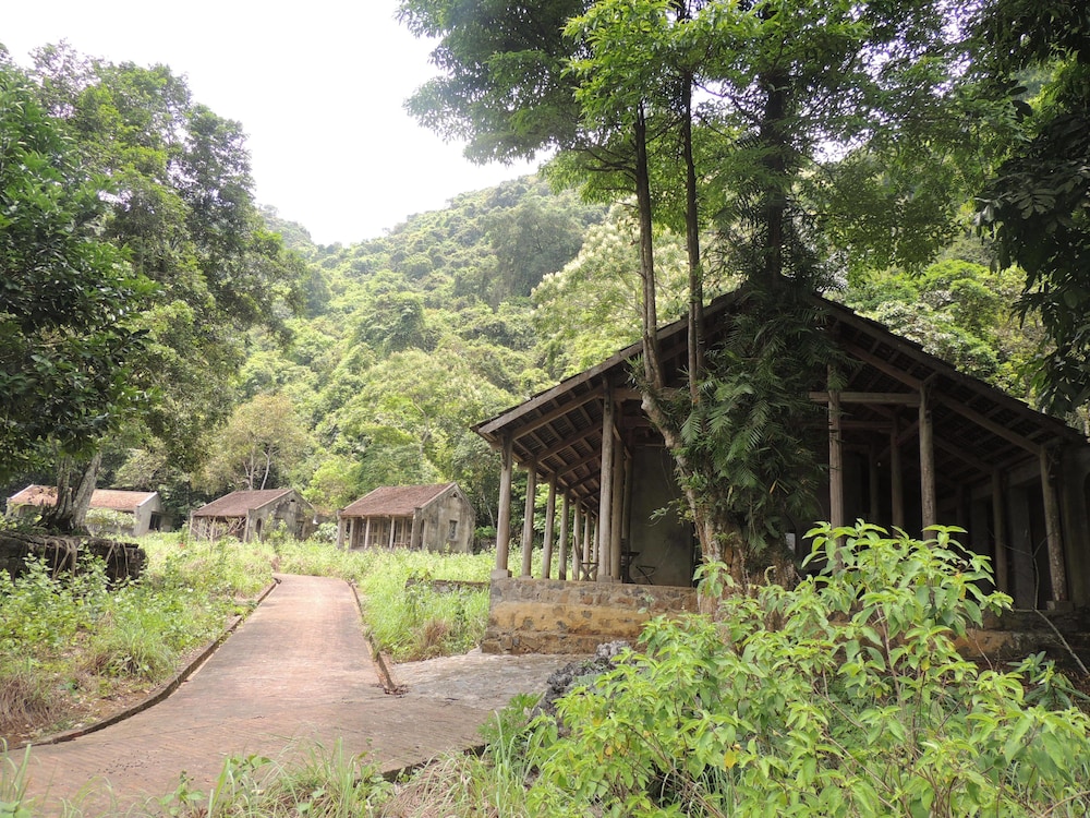 The Ancient House