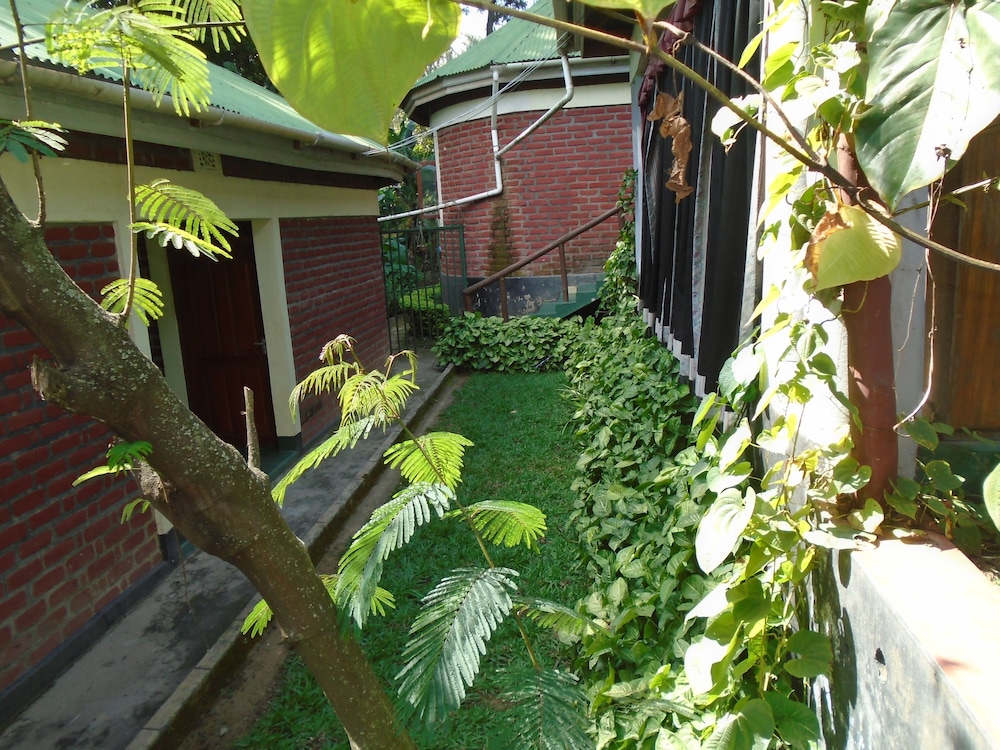 Photo 31