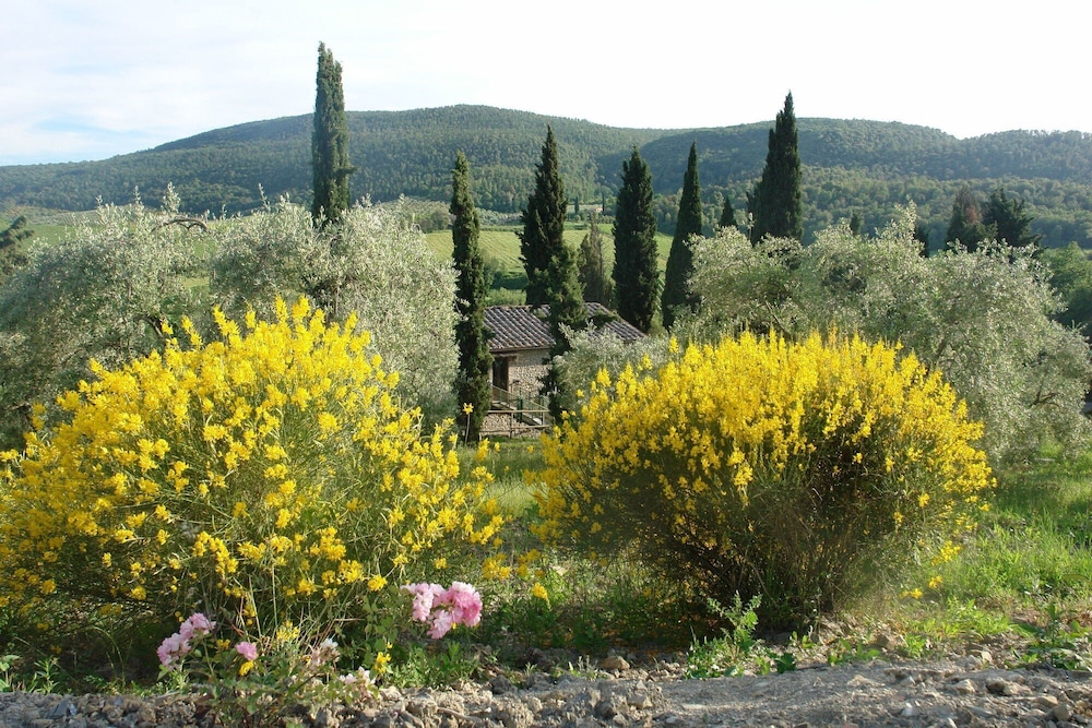 Tenuta Le Sodole - Holiday Home Il Glicine view 2