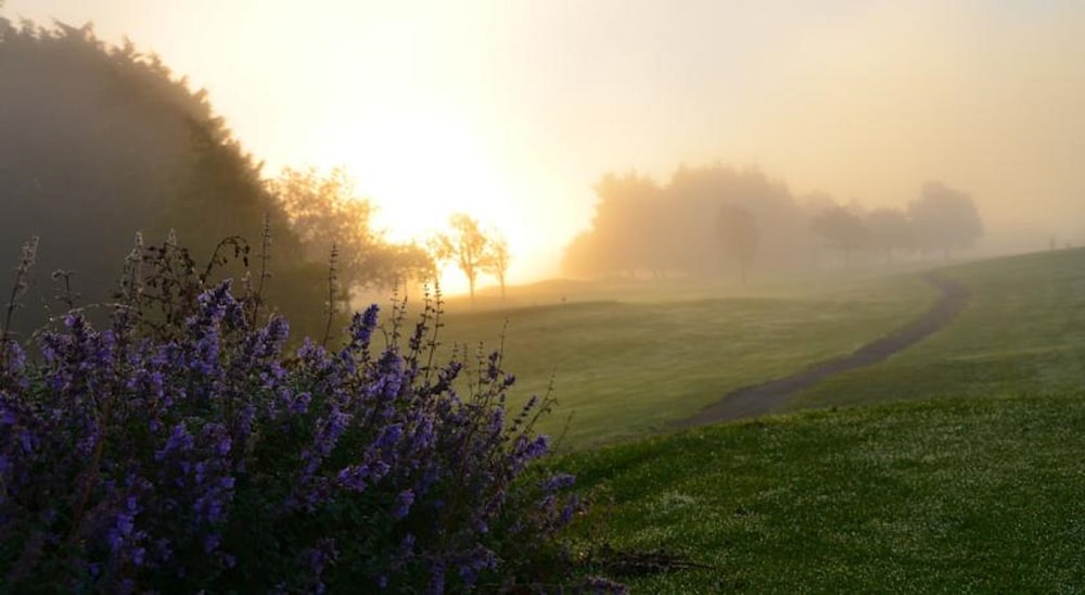 Waterford Vacations - Waterford Castle - Property Image 2