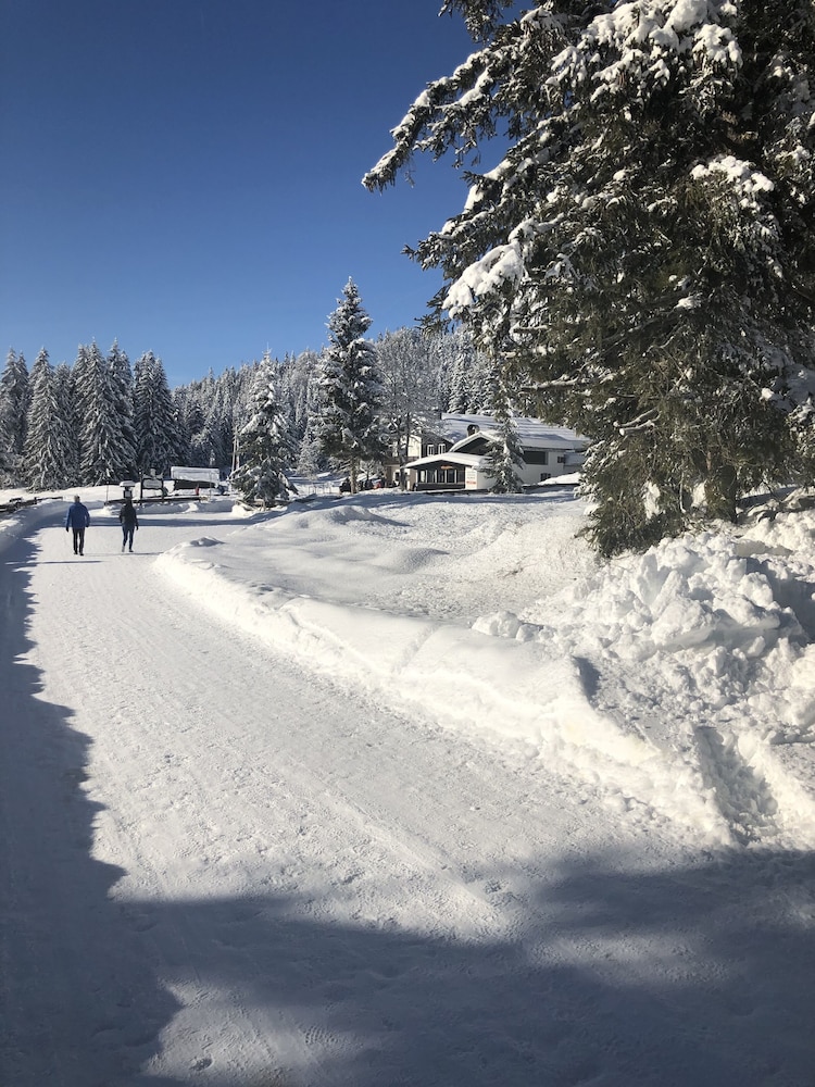 Haus Schönberg