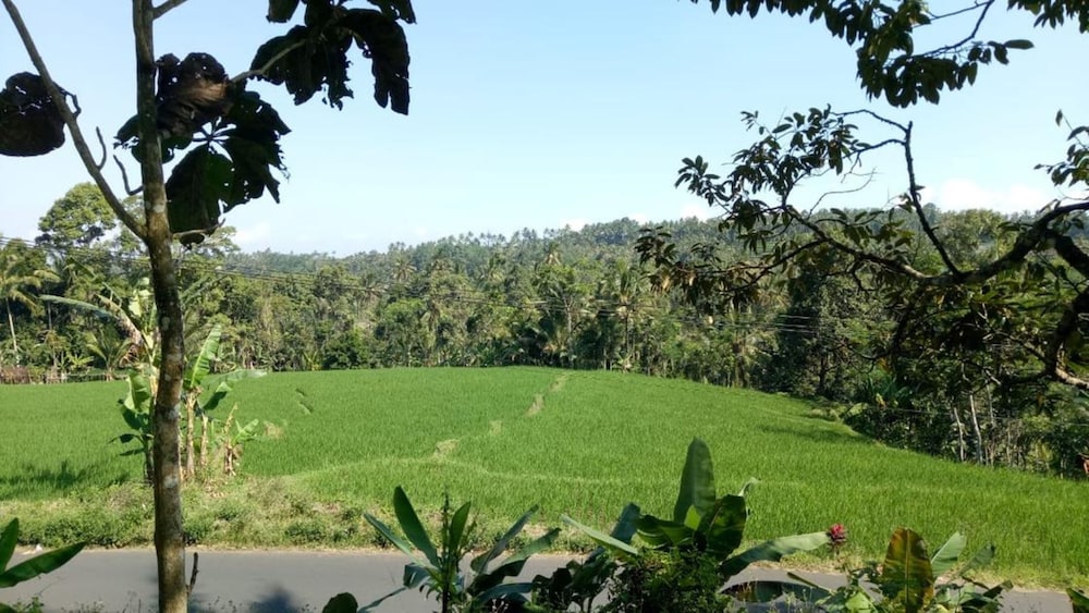 Herry Panggang Homestay and Transport Service view 2