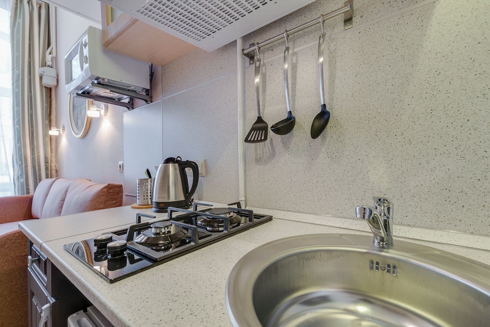 Duplex Apartments on Pushkinskaya 9