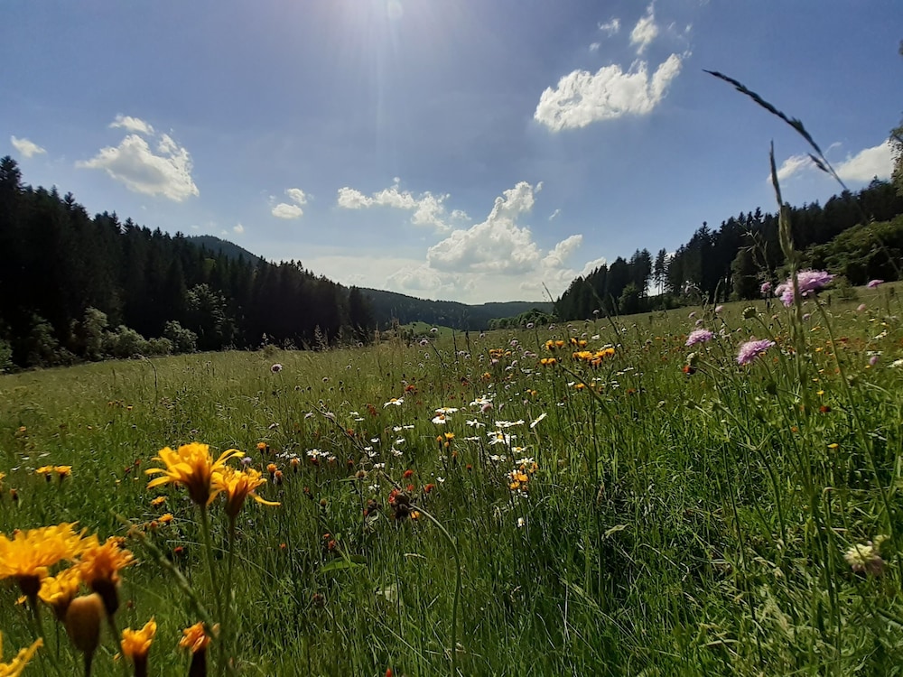 Gasthof Kanzlersgrund